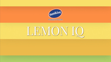LEMON IQ ［01-10］