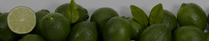 Citrus-Header_Limes-min