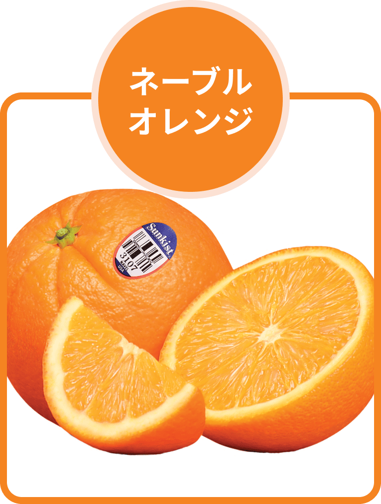 サンキストⓇネーブルオレンジ