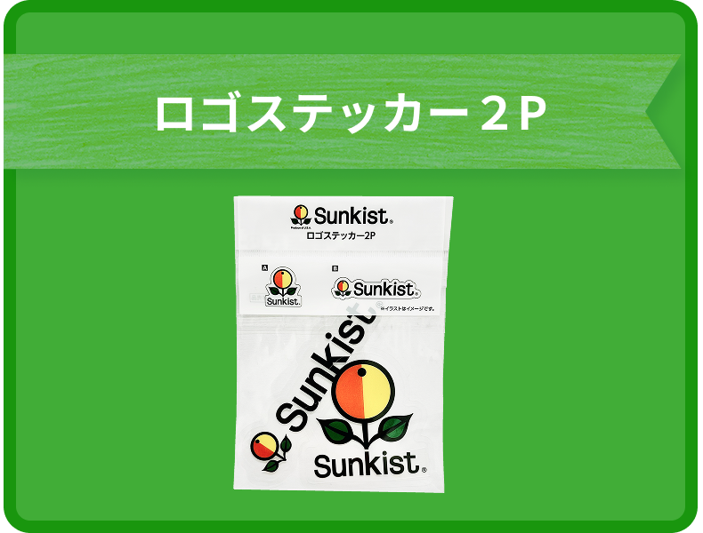 ロゴステッカー2P